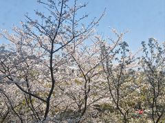 -杭州师范大学(下沙校区)