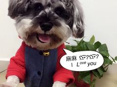 -爱牧宠物医院·猫专科·骨科·内窥镜(甪直店)