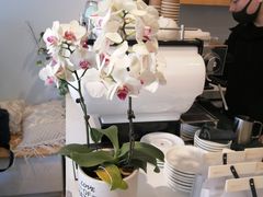-LAB COFFEE来杯咖啡(浦仓路店)