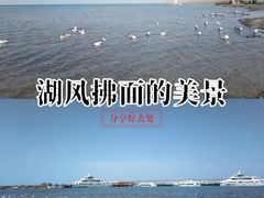 -青海湖国家重点风景名胜区