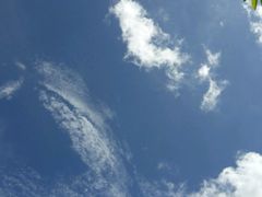 android_upload_pic-那琴半岛地质海洋公园