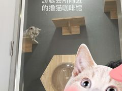 -五通灯塔公园