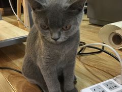 -壹人壹像工作室(购物公园店)