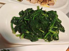 -云中小雅