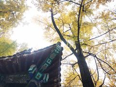 -成都市文殊院