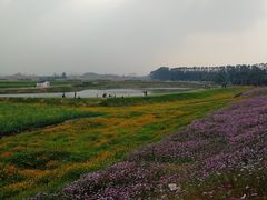-光明小镇欢乐田园