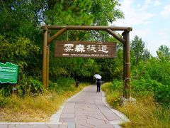 -江苏三台山国家森林公园