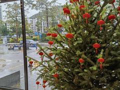 -源·新派中西餐厅(青蓝山美食一条街店)