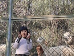 -宿豫区运河湾森林动物园