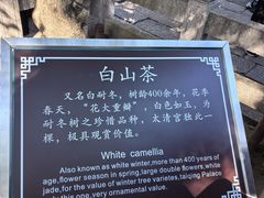 -青岛崂山太清宫
