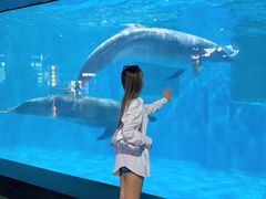 -福州罗源湾海洋世界旅游区