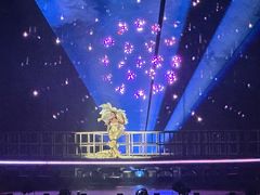 -深圳市体育中心体育馆主馆