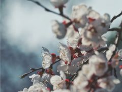 -云龙山