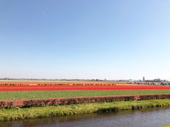 -库肯霍夫公园