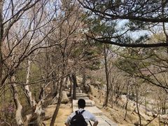 -崂山巨峰游览区