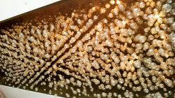 -天河希尔顿酒店·宴会厅