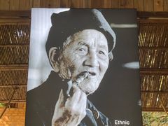 -西双版纳原始森林公园