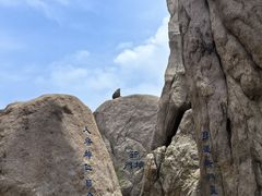 -崂山巨峰游览区