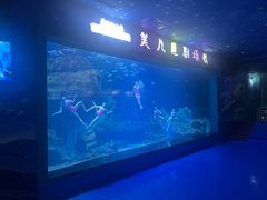 -多彩贵州城极地海洋世界