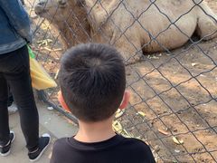 -长白岛森林公园