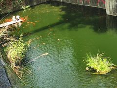 -千岛湖东南湖区