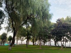 景点-上海美帆帆船露营基地