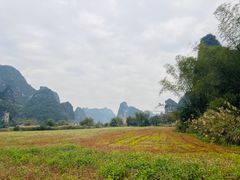 -明仕田园