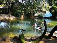 -费瑟代尔野生动物园