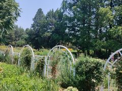 -北京植物园南门售票处