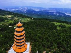 -铁山坪森林公园