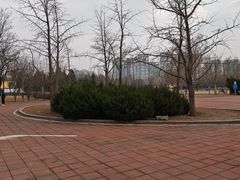 -太阳宫公园