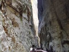 -武陵山森林公园
