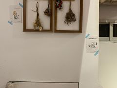 -Oasis coffee燕谷咖啡(公信店)