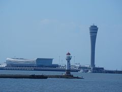 -上海滨江森林公园