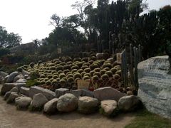 -胡里山炮台