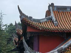 -铁山坪森林公园