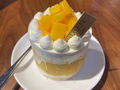 -深圳罗湖木棉花凯悦尚选酒店•大堂吧