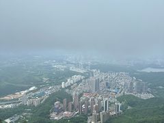 -梧桐山风景名胜区