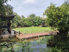 -房湖公园