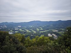 -大屏嶂森林公园