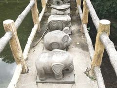 -王顺山国家森林公园