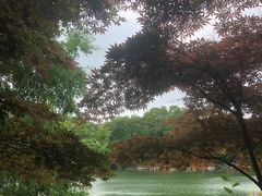 -白马涧龙池景区