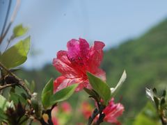 -木兰云雾山