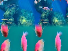 -泉城欧乐堡海洋极地世界