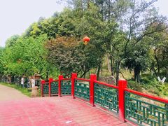 -秀丽东方