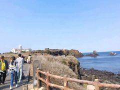 -涉地可支