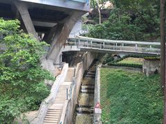 -香港大学