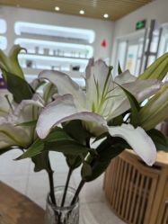 -薇薇安花系SPA