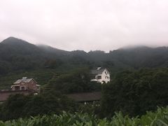 -龙井村