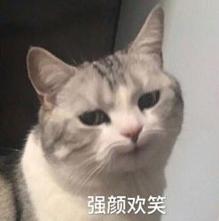-TSO 慕尚·微潮派